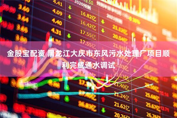 金股宝配资 黑龙江大庆市东风污水处理厂项目顺利完成通水调试