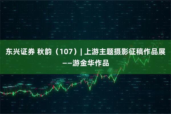 东兴证券 秋韵（107）| 上游主题摄影征稿作品展——游金华作品